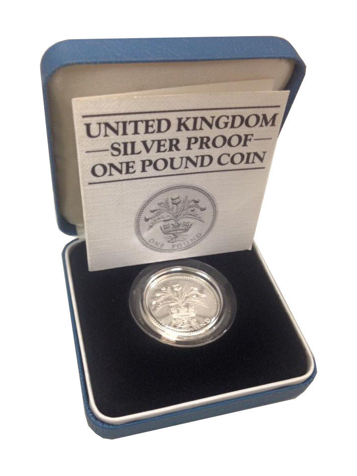 1995 Silver One Pound Coin