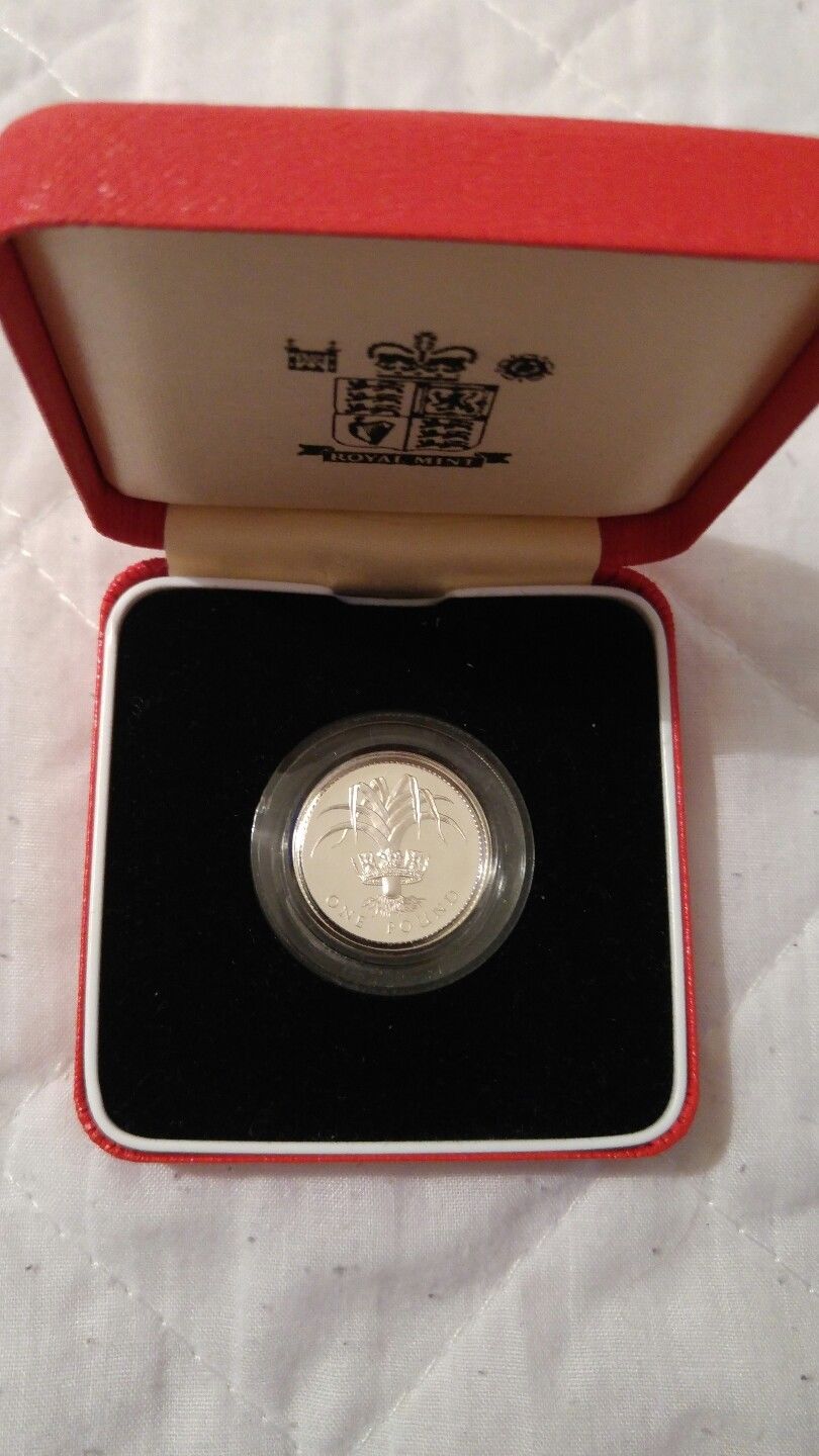 1995 Silver One Pound Coin - Image 2 of 2