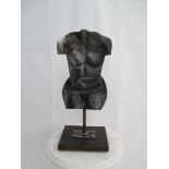 "Torso Woman No2" approx 40cm high, mounted on wooden base