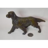 Bronze Setter Dog