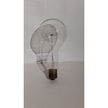 lot 16 Large Bulb