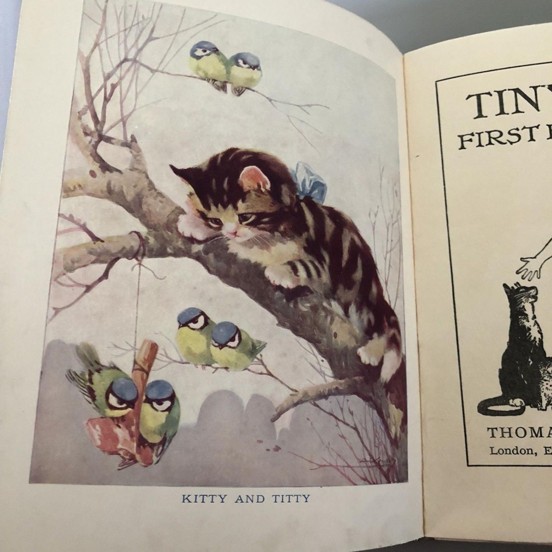 Vintage Children's Book "Tiny Tots First Book of All" c.1930 Alphabet Stories - Image 2 of 7