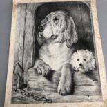 Large Antique Print by Elizabeth Shield - Dogs