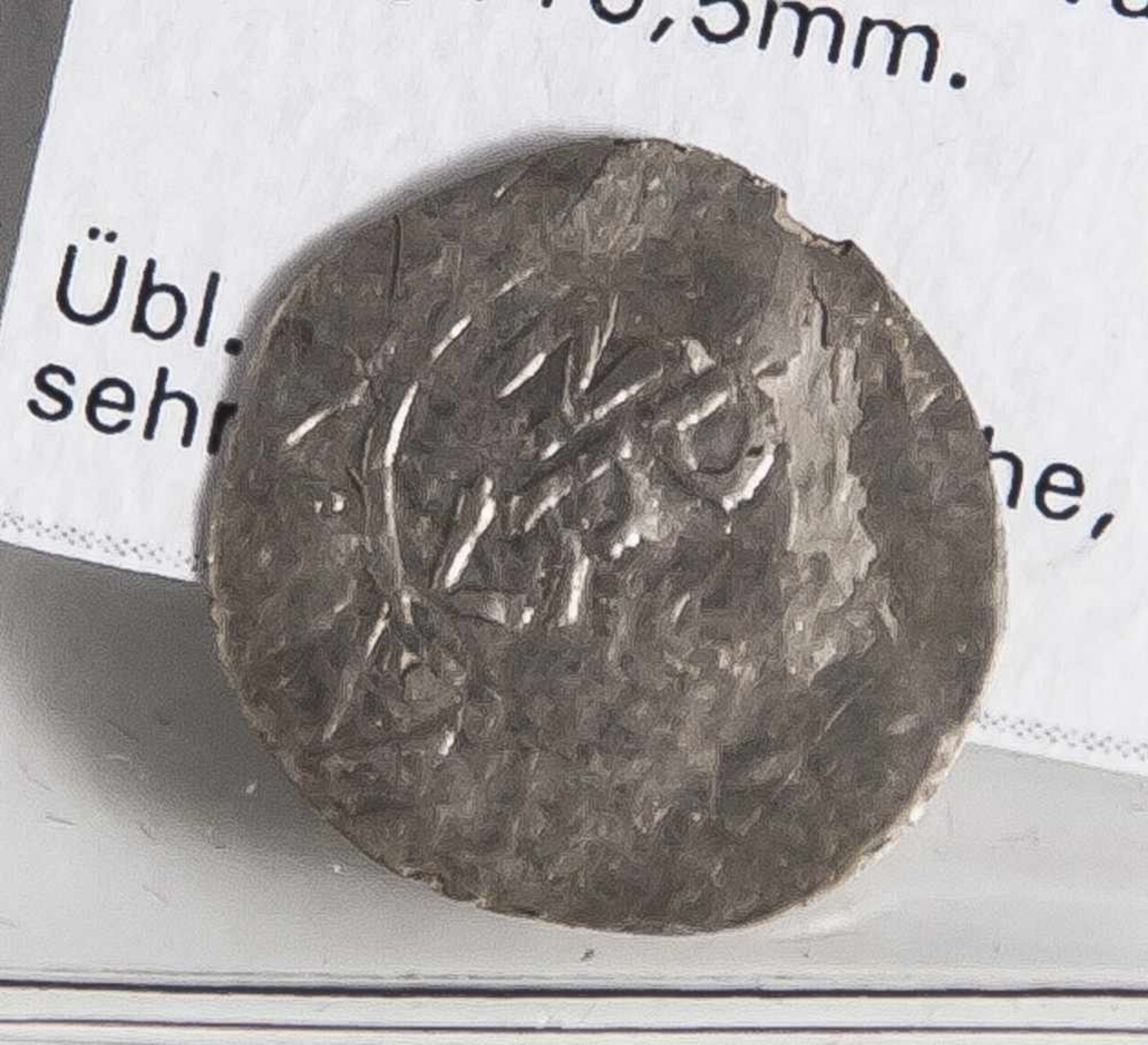 1 Münze, Würzburg, Bistum, Bruno 1034-1045, Denar, Kopf nach rechts (Ehwald 1703 Var, Dannenberg 863