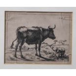 Unbekannter Künstler (17./18. Jahrhundert), seitliche Ansicht von rechts einer Kuh und einem