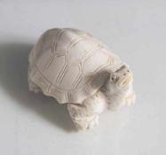 Netsuke, Schildkröte, Japan, Meiji-Zeit, wohl Ende 19. Jahrhundert, Elfenbein, fein geschnitzt und