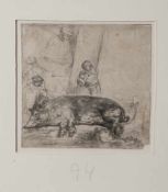 Van Rijn, Rembrandt Harmensz (1606-1669), Das Schwein, 1643, Radierung und Kaltnadel auf Bütten (