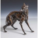 Windhund in erschreckter Haltung, Bronze, dunkel patiniert, naturalistisch gestaltet,