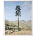 Voit, Robert (geb. 1969), Landschaft mit Baum, Fotographie, Print, rs. sign. Ca. 32 x 40 cm,