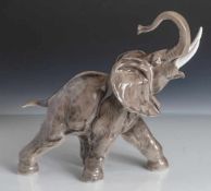 Figurine, angreifender Elefantenbulle, Hutschenreuther Selb Kunstabteilung,Manufakturmarke,