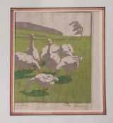 Amberg, Hugo (1872-?), Gruppe von Gänsen auf einer Wiese, polychromer Holzschnitt, r. u.handsign.