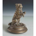 Kleine figürliche Bronze, 19. Jahrhundert, Männchen machender Hund mit Halsband u. rotenGlasaugen,