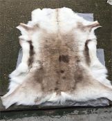 A Reindeer hide