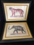 A framed print of a Tiger and an Elephant