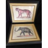 A framed print of a Tiger and an Elephant
