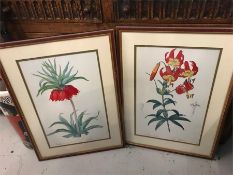 A pair of flower, technical prints