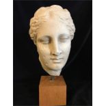 A classical bust of a lady