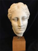 A classical bust of a lady