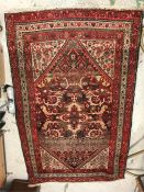 A red ground rug