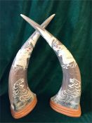 A pair of decorated horns