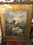 A signed watercolour by W Watson of Sheep on Moorland