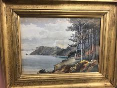 A gilt frame of Torquay Meadfoot