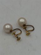 14ct gold pearl earrings.