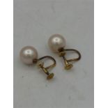 14ct gold pearl earrings.