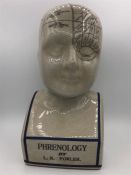 A Phrenology Head