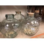 Four large glass jars with corks and a large measuring jug, scientific style.