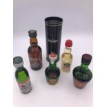 A selection of miniatures to include port, whisky and brandy .