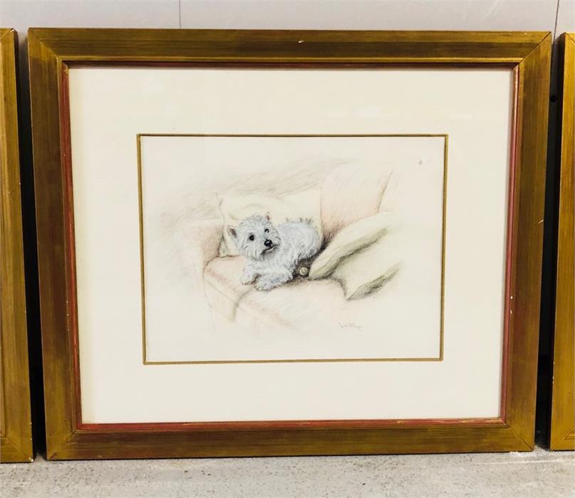 A set of four pastels by acclaimed artist Law Helyes of a West Highland Terrier, Labrador, King - Image 4 of 8