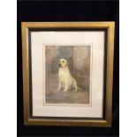 A watercolour of a Golden Retriever, signed bottom right E.Meyer '96