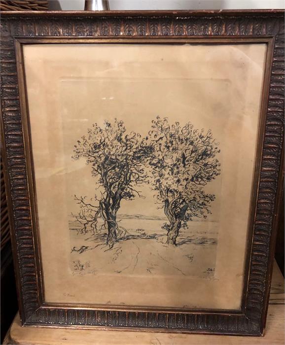 A pen and ink drawing of landscape of trees by Y.Little