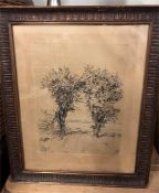 A pen and ink drawing of landscape of trees by Y.Little