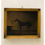 A 19th Century painting of a horse, signed J.Barry 1837 (AF), Oil on canvas.