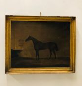 A 19th Century painting of a horse, signed J.Barry 1837 (AF), Oil on canvas.