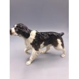 Beswick English Springer Spaniel