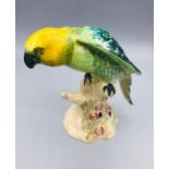 A Beswick Parakeet (930)