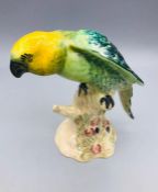 A Beswick Parakeet (930)