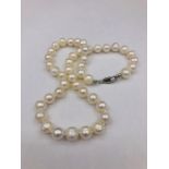 A fine row of Freshwater pearls with silver clasp