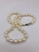 A fine row of Freshwater pearls with silver clasp
