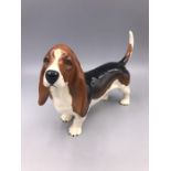 A Beswick figure of a Bassett Hound