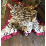 A Tiger Taxidermy rug