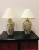 Two Large Chinese lamp bases with brass fittings