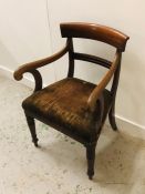 A Single Regency Mahogany carver chair