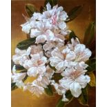 Pamela Davis RMS SWA, WHITE RHODODENDRONS, oil on canvas, framed and mounted, 40 x 50 cm, signed