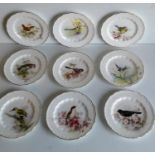 A set of nine Royal Worcester plates, each painted with a single bird and signed W Powell