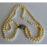 A contemporary two-row uniform knotted cultured pearl necklet. The 120-Akoya medium cream rose