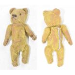 A small gold plush Teddy bear purse With glass button eyes, height 21cm.